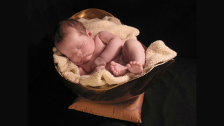 Illustration for article titled 'Birth Art': The Most Horrifying Trend Ever